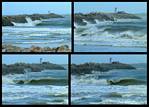 (02) jetty montage (day 3).jpg    (1000x720)    345 KB                              click to see enlarged picture